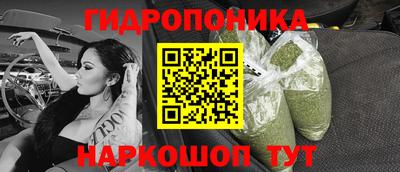 спиды Моздок
