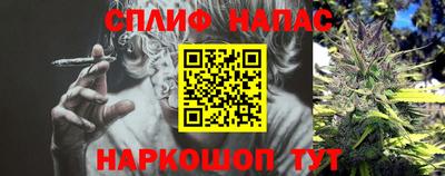 спиды Моздок