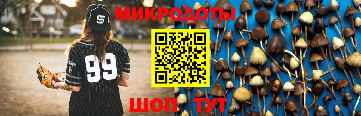 Великие Луки  Псилоцибиновые грибы ЛСД  Вход с VPN 