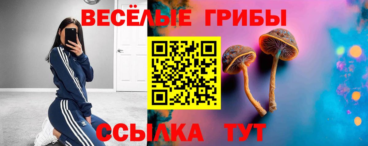 Галлюциногенные грибы MAGIC MUSHROOMS Великие Луки
